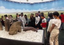 В РАМКАХ МЕСЯЧНИКА «АДАПТАЦИЯ ПЕРВОКУРСНИКОВ»