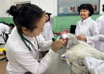 ПРОДОЛЖАЮТСЯ ОТБОРОЧНЫЙ ТУР «ПРОФЕССИОНАЛЫ-2025» ВНУТРИ В СПО РТ