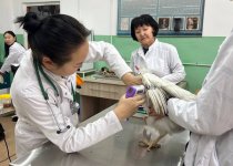 ПРОДОЛЖАЮТСЯ ОТБОРОЧНЫЙ ТУР «ПРОФЕССИОНАЛЫ-2025» ВНУТРИ В СПО РТ